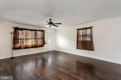 3702 Mactavish Ave, Baltimore, MD 21229 - photo 2