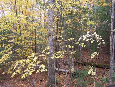 0 Pinnacle Rd unit Lot 9, Campton, NH 03223 - photo 6