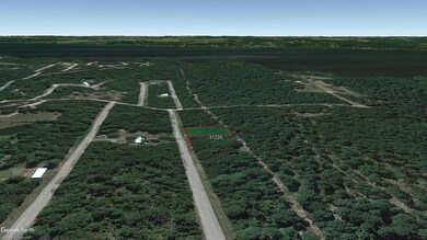 0 Eagle Bluff Loop unit Avinger TX 75630, Avinger, TX 75630 - photo 5