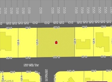 317 NW 15th Terrace, Cape Coral, FL 33993 - photo 3