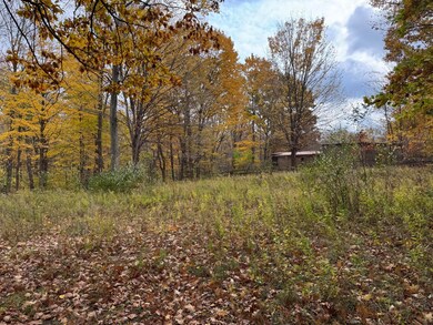 000 W Clear Lake Rd, Buchanan Township, MI 49107 - photo 2