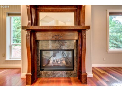 Fireplace Gas