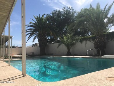 Pool 7