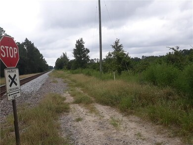 0 Lee Cir Johns Way unit 1612519, Nahunta, GA 31553 - photo 2