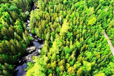 DJI_0331