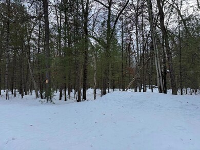 0 E Riverside Drive - A unit 25003382, Irons, MI 49644 - photo 3