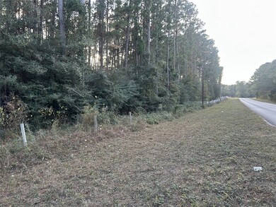 28655 Joseph Rd, Hockley, TX 77447 - photo 4