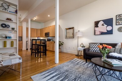 52 Regent St unit 5, Cambridge, MA 02140 - photo 6