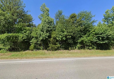 36555 US Hwy 231, Ashville, AL 35953 - photo 2