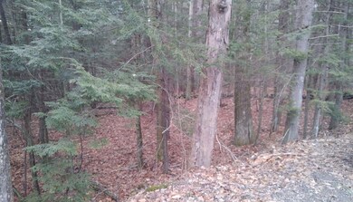 0 Hutchins Rd unit Lot 1 4800638, Chesterfield, NH 03466 - photo 4