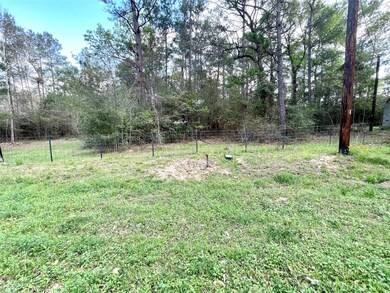 0000 Little John Cir, Hockley, TX 77447 - photo 5