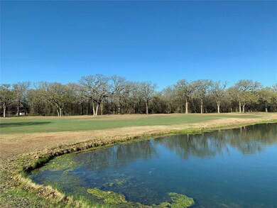 24026 Wood Hollow Dr, Whitney, TX 76692 - photo 4