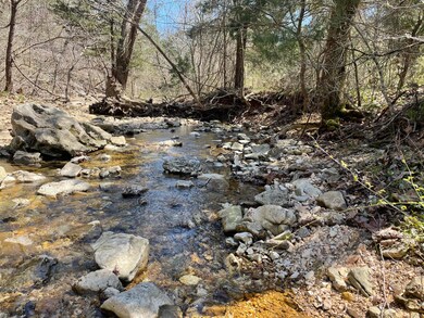 Tbd Center Rd, Ozark, MO 65721 - photo 4