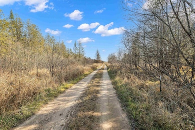 Lot 3 Maple Ln, Grant, WI 54486 - photo 2