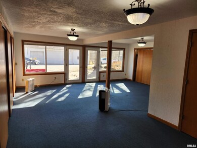 11700 300th St N, Hillsdale, IL 61257 - photo 4