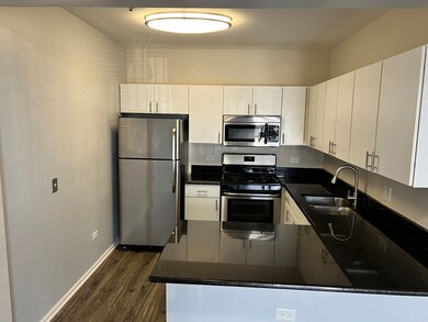 625 Deerfield Rd unit 317, Deerfield, IL 60015 - photo 5