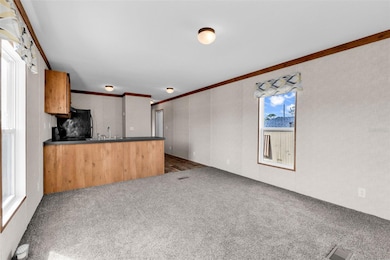 3702 Dunreath Rd, Port Charlotte, FL 33953 - photo 6