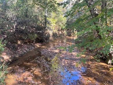 Henry Co Rd 46, Shorterville, AL 36373 - photo 3