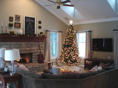 vaulted ceiling family room with skylights and gas