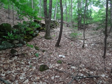 0 South Rd, Woodstock, VT 05071 - photo 6