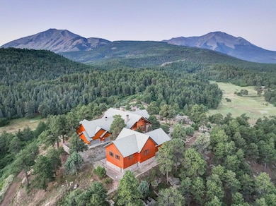 6600 County Road 363, Walsenburg, CO 81089 - photo 3