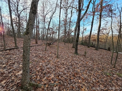 TBD Lot 887 Muirfield Dr, Jasper Township, MO 65079 - photo 7