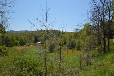 749 Piney06