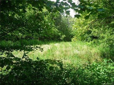 Second garden/lawn area across the small stream.