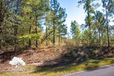 Tbd Concord Church Rd, Allendale, SC 29810 - photo 7