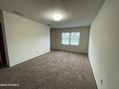 227 Appaloosa Dr, Jacksonville, NC 28540 - photo 4