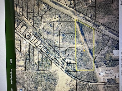 0 Scott Rd, Ellerslie, GA 31807 - photo 2