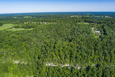 3 Island, Walling, TN 38567 - photo 5