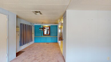 162-Coyote-03032025_154622