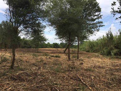 0000 Childs, Alvin, TX 77511 - photo 4