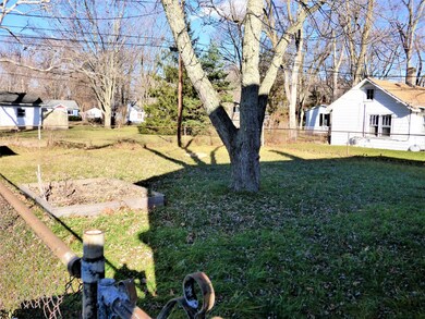 4237 Park St, Bridgman, MI 49106 - photo 5