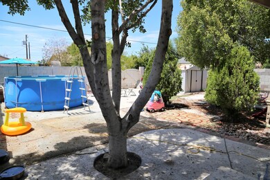 Sirrine backyard