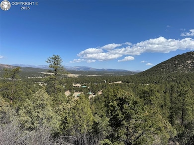 TR-121 19th Trail, Cotopaxi, CO 81223 - photo 6