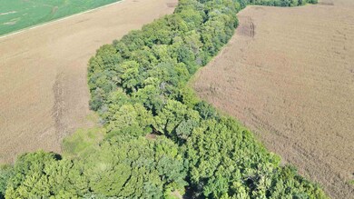 NW/c of NW 120th St and Nw Buffalo Rd - Tract 1, Potwin, KS 67123 - photo 7