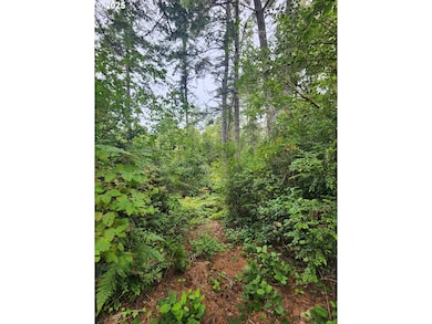 0 Sand Dune Park Dr unit TL 800 254608161, Florence, OR 97439 - photo 5