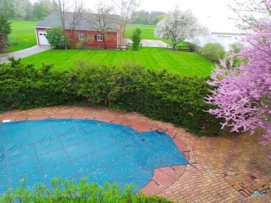 POOL AND BACK YARD