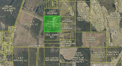 0 Hickory Flat Rd unit 2519554, Kinder, LA 70648 - photo 2