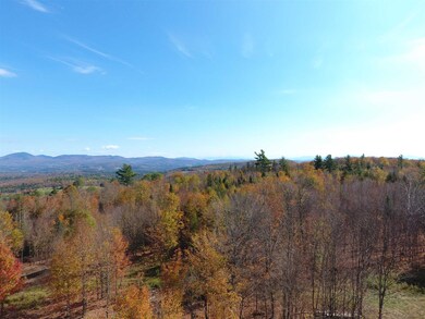 0 Derricks Dr unit 3 4935140, Wheelock, VT 05851 - photo 3