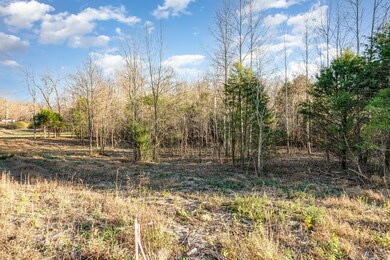 0 Maple Valley Rd, Cumberland Furnace, TN 37051 - photo 7