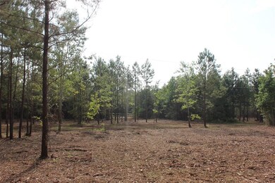 0 Fm 2251 Lot 1 unit 29919240, Lufkin, TX 75904 - photo 4