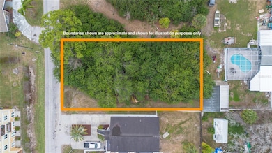 6317 Oelsner St, New Port Richey, FL 34652 - photo 3