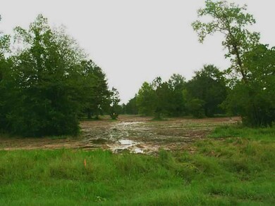Land/Lot.