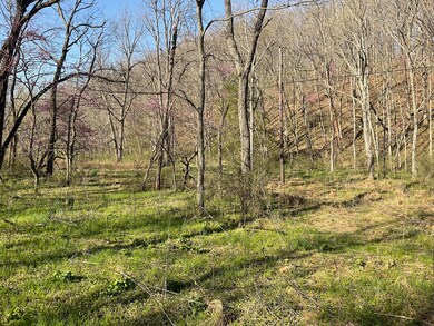 000 Brush Creek Rd, Noel, MO 64854 - photo 4