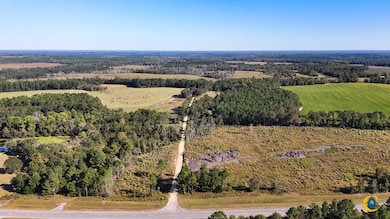 County Road 121, Jacksonville, GA 31544 - photo 7