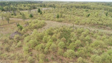 0 Hwy 77 unit 1527572, Swiss Township, WI 54830 - photo 5