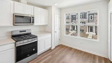 17313 Ulster Dr, Tinley Park, IL 60477 - photo 4